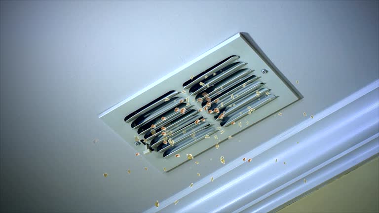 Best Affordable Air Duct Cleaning  in Mill Plain, CT