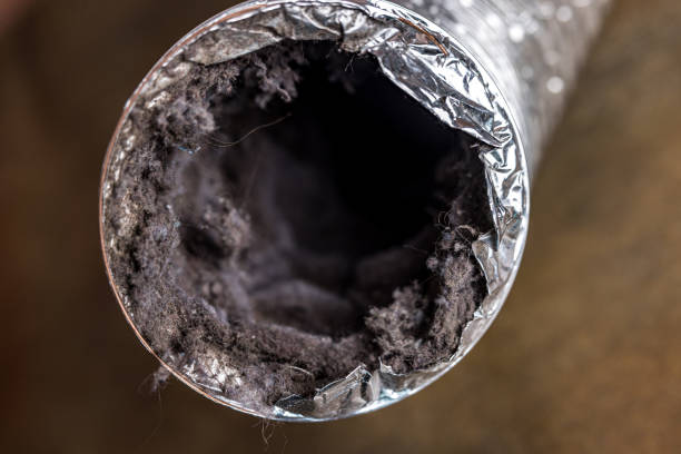 Best Air Duct Cleaning Near Me  in Mill Plain, CT